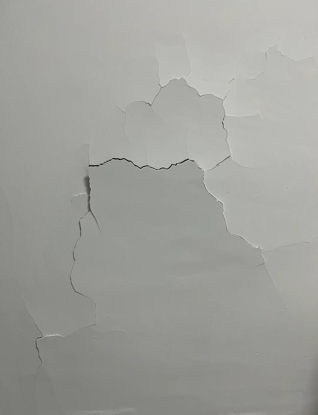 nqfiberglassmesh | How to Choose the Right Plastering Mesh for Your Project
